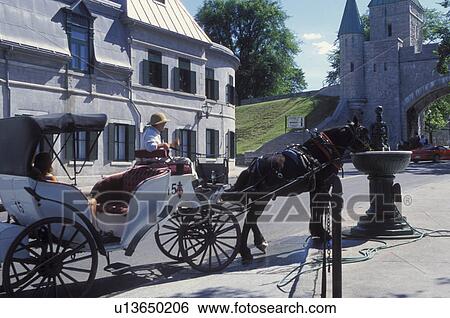 Quebec City, Canada, Quebec, Horse drawn carriage. Horse drinking water from a fountain in Old Quebec. View Large Photo Image Stock Photograph - Quebec City, Canada, Quebec, Horse drawn carriage. Horse drinking water from a fountain in Old Quebec.. Fotosearch