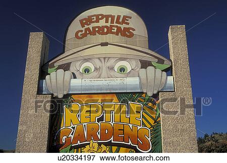 Stock Photo -  Rapid City, SD, South Dakota, Black Hills, Reptile Garden. Fotosearch