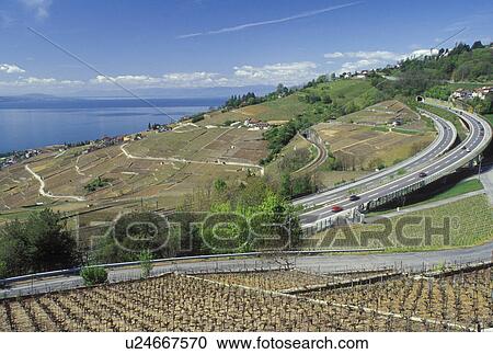 Stock Image -  road, Switzerland, Vaud, Lavaux, Lake Geneva, Europe, Expressway and train line run through the scenic vineyards of Lavaux in the spring in the Canton of Vaud. . Fotosearch