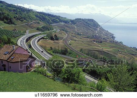 road, Switzerland, Vaud, Lavaux, Lake Geneva, Europe, Expressway and train line run through the scenic vineyards of Lavaux in the spring in the Canton of Vaud. View Large Photo Image Stock Photograph - road, Switzerland, Vaud, Lavaux, Lake Geneva, Europe, Expressway and train line run through the scenic vineyards of Lavaux in the spring in the Canton of Vaud. . Fotosearch
