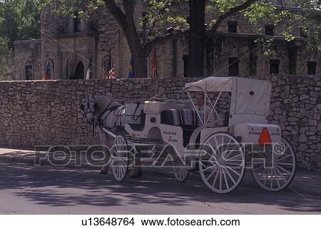 San Antonio, TX, Texas, carriage rides, horse-drawn carriage View Large Photo Image Picture - San Antonio, TX, Texas, carriage rides, horse-drawn carriage. Fotosearch