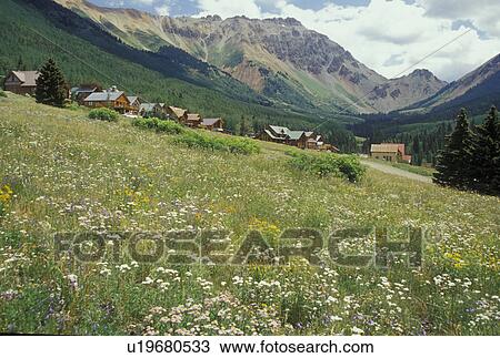 San Juan National Forest, Ophir, CO, Colorado, San Juan Mountains, Colmar Mining Camp View Large Photo Image Stock Image - San Juan National Forest, Ophir, CO, Colorado, San Juan Mountains, Colmar Mining Camp. Fotosearch