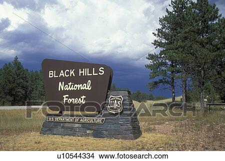 SD, South Dakota, Black Hills National Forest, entrance sign View Large Photo Image Picture - SD, South Dakota, Black Hills National Forest, entrance sign. Fotosearch
