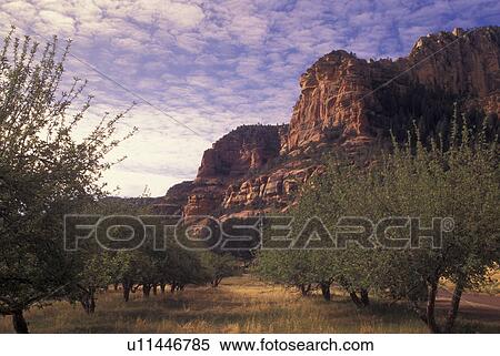 Sedona, AZ, Arizona, Oak Creek Canyon, Slide Rock State Park, Orchard View Large Photo Image Stock Photography - Sedona, AZ, Arizona, Oak Creek Canyon, Slide Rock State Park, Orchard. Fotosearch