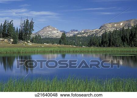Shoshone National Forest, WY, Wyoming, Beartooth Highway Scenic Byway, Island Lake Area View Large Photo Image Stock Photo - Shoshone National Forest, WY, Wyoming, Beartooth Highway Scenic Byway, Island Lake Area. Fotosearch