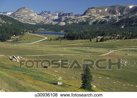 Shoshone National Forest, Wyoming, WY, Beartooth Highway Scenic Byway, Island Lake Area View Large Photo Image Stock Photo - Shoshone National Forest, Wyoming, WY, Beartooth Highway Scenic Byway, Island Lake Area. Fotosearch