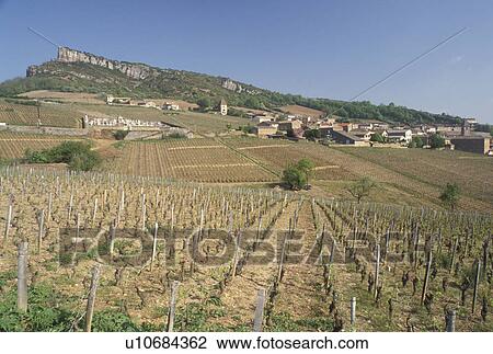 Stock Image -  Solutre, Burgundy, France, Saone-et-Loire, Bourgogne, Europe, Beaujolais Wine Region, Scenic view of the vineyards in the Beaujolais Wine Region in Solutre in the early spring.. Fotosearch