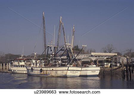 St. Marys, GA, Georgia, Shrimp boats along St. Marys River View Large Photo Image Stock Image - St. Marys, GA, Georgia, Shrimp boats along St. Marys River. Fotosearch
