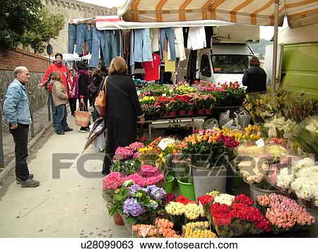 street market, Tuscany, Italy, Montalcino, Toscana, Europe, Flowers for sale at the local market in the town of Montalcino. View Large Photo Image Stock Image - street market, Tuscany, Italy, Montalcino, Toscana, Europe, Flowers for sale at the local market in the town of Montalcino.. Fotosearch