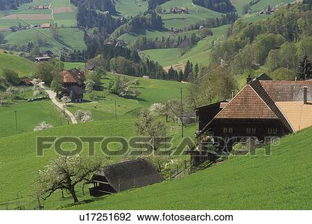 Switzerland, Emmental, Bern, Affoltern, Europe, Farms in Affoltern in the scenic countryside of the Emmental Region in the spring in the Canton of Bern. View Large Photo Image Stock Image - Switzerland, Emmental, Bern, Affoltern, Europe, Farms in Affoltern in the scenic countryside of the Emmental Region in the spring in the Canton of Bern. . Fotosearch