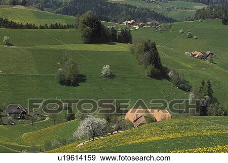 Switzerland, Emmental, Bern, Affoltern, Europe, Farms in Affoltern in the scenic countryside of the Emmental Region in the spring in the Canton of Bern. View Large Photo Image Stock Photo - Switzerland, Emmental, Bern, Affoltern, Europe, Farms in Affoltern in the scenic countryside of the Emmental Region in the spring in the Canton of Bern. . Fotosearch
