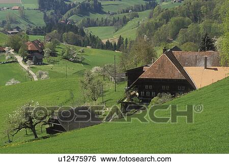 Switzerland, Emmental, Bern, Affoltern, Europe, Farms in Affoltern in the scenic countryside of the Emmental Region in the spring in the Canton of Bern. View Large Photo Image Stock Photograph - Switzerland, Emmental, Bern, Affoltern, Europe, Farms in Affoltern in the scenic countryside of the Emmental Region in the spring in the Canton of Bern. . Fotosearch