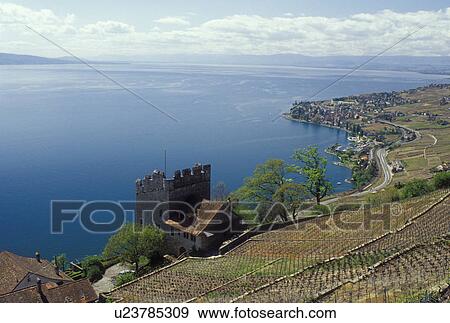 Stock Photo -  Switzerland, Lavaux, Lake Geneva, Vaud, Europe, Scenic view of Tour de Marsens surrounded by vineyards along the lakeshore of Lac Leman in the spring in the Canton of Vaud. . Fotosearch