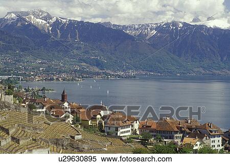 Switzerland, Lavaux, Lake Geneva, Vaud, Alps, Europe, Scenic view of the village of Rivaz surrounded by vineyards and the Alps along the lakeshore of Lac Leman in the spring in the Canton of Vaud. View Large Photo Image Stock Photography - Switzerland, Lavaux, Lake Geneva, Vaud, Alps, Europe, Scenic view of the village of Rivaz surrounded by vineyards and the Alps along the lakeshore of Lac Leman in the spring in the Canton of Vaud.. Fotosearch