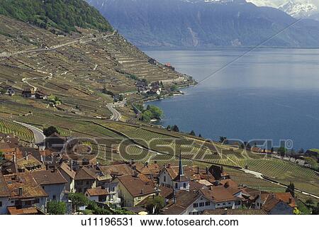 Stock Image -  Switzerland, Lavaux, Vaud, Lake Geneva, Alps, Europe, Picturesque village of Riex surrounded by vineyards along the lakeshore of Lac Leman in the spring in the Canton of Vaud. Scenic view of the Alps across Lake Geneva.. Fotosearch