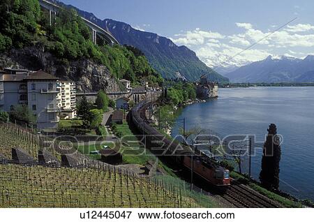 Switzerland, Montreux, Vaud, Alps, Lake Geneva, Europe, A train with a red engine winds along the lakeshore of Lac Leman with a scenic view of the Alps and the Chateau de Chillon in the spring in the Canton of Vaud. View Large Photo Image Stock Photo - Switzerland, Montreux, Vaud, Alps, Lake Geneva, Europe, A train with a red engine winds along the lakeshore of Lac Leman with a scenic view of the Alps and the Chateau de Chillon in the spring in the Canton of Vaud. . Fotosearch