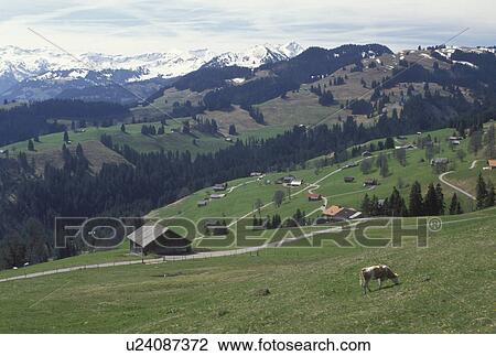 Switzerland, Simmental, Bern, Europe, Scenic countryside and the alps at Jaunpass in the spring in the Canton of Bern. View Large Photo Image Stock Image - Switzerland, Simmental, Bern, Europe, Scenic countryside and the alps at Jaunpass in the spring in the Canton of Bern. . Fotosearch