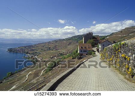 Stock Image -  Switzerland, Vaud, Lake Geneva, Lavaux, Europe, Narrow road leads down to the Tour de Marsens along the lakeshore of Lac Leman in the spring in the Canton of Vaud. . Fotosearch