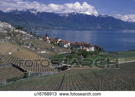 Stock Image -  Switzerland, Vaud, Lavaux, Lake Geneva, Alps, Europe, Scenic view of the village of Rivaz surrounded by vineyards and the Alps along the lakeshore of Lac Leman in the spring in the Canton of Vaud.. Fotosearch