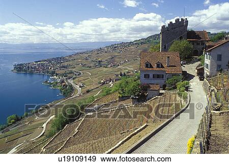 Switzerland, Vaud, Lavaux, Lake Geneva, Europe, Narrow road leads down to the Tour de Marsens along the lakeshore of Lac Leman in the spring in the Canton of Vaud. View Large Photo Image Stock Photo - Switzerland, Vaud, Lavaux, Lake Geneva, Europe, Narrow road leads down to the Tour de Marsens along the lakeshore of Lac Leman in the spring in the Canton of Vaud. . Fotosearch