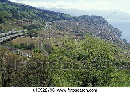 Switzerland, Vaud, Lavaux, Lake Geneva, Europe, Expressway and train line run through the scenic vineyards of Lavaux in the spring in the Canton of Vaud. View Large Photo Image Stock Photograph - Switzerland, Vaud, Lavaux, Lake Geneva, Europe, Expressway and train line run through the scenic vineyards of Lavaux in the spring in the Canton of Vaud. . Fotosearch