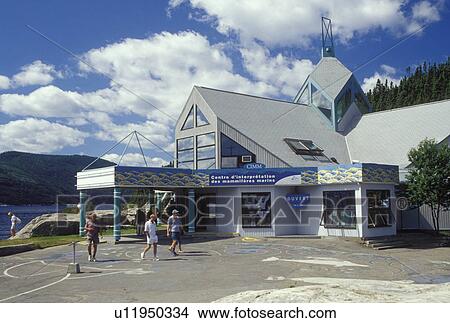 Picture -  Tadoussac, Canada, Quebec, The Marine Mammal Interpretation Center (Centre d' interpretation des mammiferes marins) along the St. Lawrence (Fleuve Saint-Laurent) and Saguenay Rivers in the summer resort town of Tadoussac.. Fotosearch