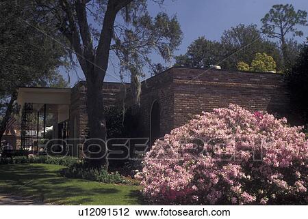 Theodore, AL, Alabama, Bellingraph Gardens & Home, azaleas View Large Photo Image Stock Image - Theodore, AL, Alabama, Bellingraph Gardens & Home, azaleas. Fotosearch
