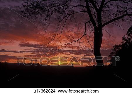 TN, Tennessee, Great Smoky Mountains National Park, Cades Cove, sunset View Large Photo Image Picture - TN, Tennessee, Great Smoky Mountains National Park, Cades Cove, sunset. Fotosearch