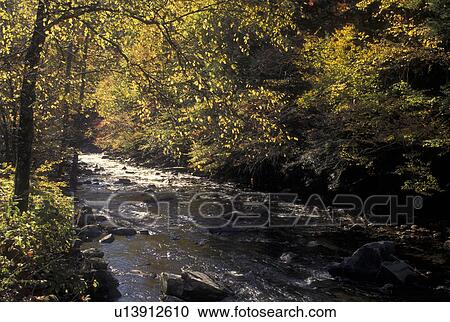 Stock Image -  TN, Tennessee, Great Smoky Mountains National Park, Little River, fall. Fotosearch