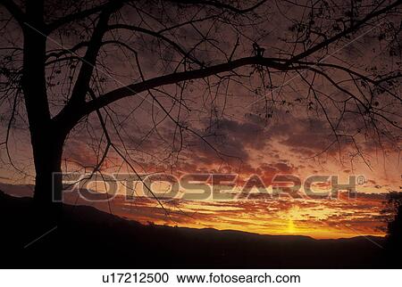 Stock Image -  TN, Tennessee, Great Smoky Mountains National Park, Cades Cove, sunset. Fotosearch