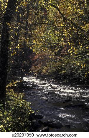 Stock Image -  TN, Tennessee, Great Smoky Mountains National Park, Little River, fall. Fotosearch
