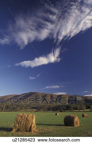 TN, Tennessee, Great Smoky Mountains National Park, Cades Cove, fall, hay bales View Large Photo Image Stock Image - TN, Tennessee, Great Smoky Mountains National Park, Cades Cove, fall, hay bales. Fotosearch
