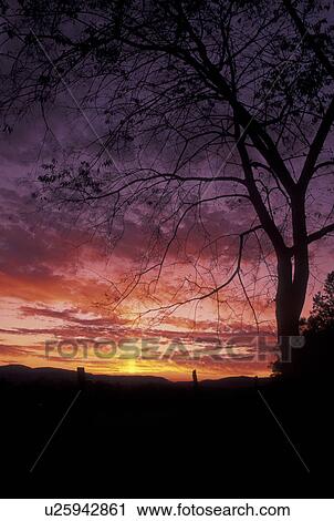 Stock Image -  TN, Tennessee, Great Smoky Mountains National Park, Cades Cove, sunset. Fotosearch
