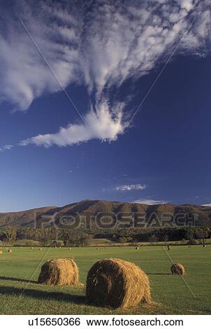Stock Photograph -  TN, Tennessee, Great Smoky Mountains National Park, Cades Cove, fall, hay bales. Fotosearch
