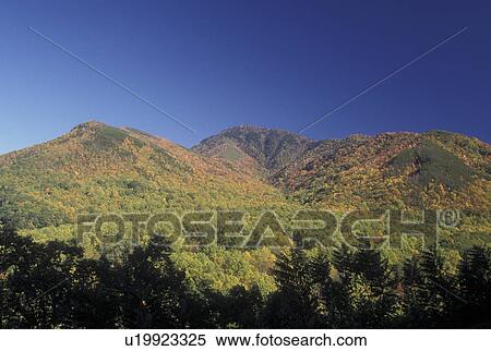 TN, Tennessee, Great Smoky Mountains National Park, fall View Large Photo Image Stock Photography - TN, Tennessee, Great Smoky Mountains National Park, fall. Fotosearch