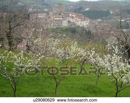 Toscana, Tuscany, Italy, Arcidosso, Europe, Scenic view of the medieval village of Arcidosso in Tuscany in the spring. View Large Photo Image Stock Photo - Toscana, Tuscany, Italy, Arcidosso, Europe, Scenic view of the medieval village of Arcidosso in Tuscany in the spring.. Fotosearch