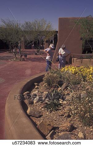 Tucson, AZ, Arizona, Arizona-Sonora Desert Museum View Large Photo Image Stock Image - Tucson, AZ, Arizona, Arizona-Sonora Desert Museum. Fotosearch