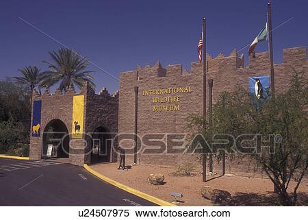 Tucson, AZ, Arizona, International Wildlife Museum View Large Photo Image Stock Photography - Tucson, AZ, Arizona, International Wildlife Museum. Fotosearch