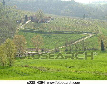 Tuscany, Italy, Certaldo, Toscana, Europe, Scenic view of a Tuscan farmhouse and vineyard near the town of Certaldo. View Large Photo Image Picture - Tuscany, Italy, Certaldo, Toscana, Europe, Scenic view of a Tuscan farmhouse and vineyard near the town of Certaldo.. Fotosearch