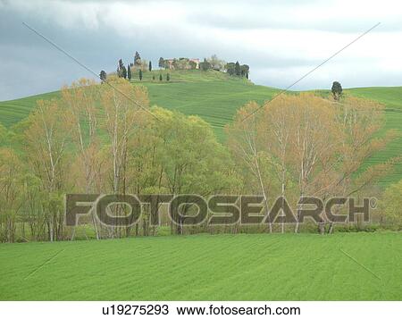 Stock Image -  Tuscany, Italy, Le Crete, Toscana, Europe, Typical Tuscan house sits up on a hill in the countryside of Tuscany.. Fotosearch