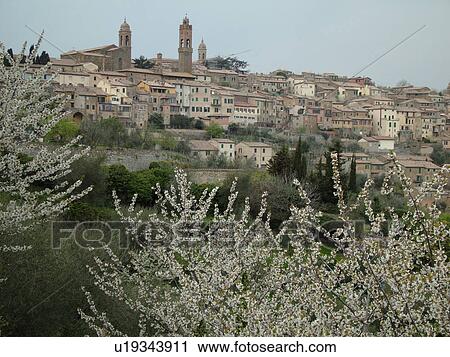 Tuscany, Italy, Montalcino, Toscana, Europe, View of the medieval hilltown of Montalcino in Tuscany in the spring. View Large Photo Image Stock Image - Tuscany, Italy, Montalcino, Toscana, Europe, View of the medieval hilltown of Montalcino in Tuscany in the spring.. Fotosearch