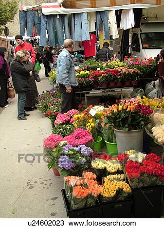Tuscany, Italy, Montalcino, Toscana, Europe, Flowers for sale at the local market in the town of Montalcino. View Large Photo Image Stock Image - Tuscany, Italy, Montalcino, Toscana, Europe, Flowers for sale at the local market in the town of Montalcino.. Fotosearch