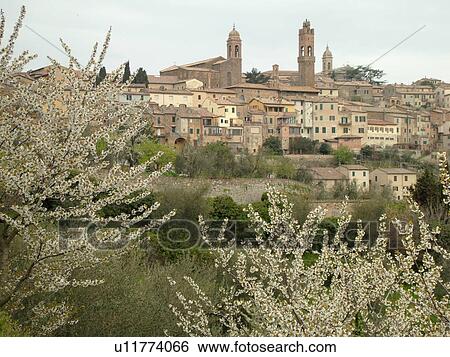Tuscany, Italy, Montalcino, Toscana, Europe, View of the medieval hilltown of Montalcino in Tuscany in the spring. View Large Photo Image Stock Photograph - Tuscany, Italy, Montalcino, Toscana, Europe, View of the medieval hilltown of Montalcino in Tuscany in the spring.. Fotosearch