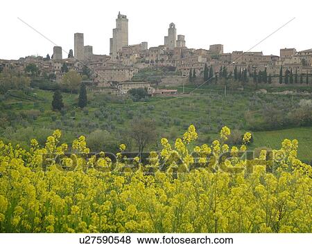 Stock Photo -  Tuscany, Italy, San Gimignano, Toscana, Europe, Scenic view of the medieval town of San Gimignano in the Chianti Region.. Fotosearch