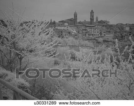 Tuscany, Toscana, Italy, Montalcino, Europe, View of the medieval hilltown of Montalcino in Tuscany in the spring. View Large Photo Image Stock Photo - Tuscany, Toscana, Italy, Montalcino, Europe, View of the medieval hilltown of Montalcino in Tuscany in the spring.. Fotosearch