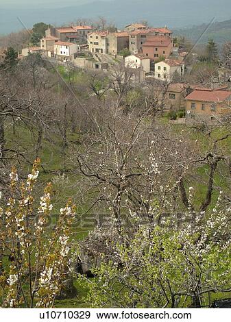 Tuscany, Toscana, Italy, Tepolini, Europe, Scenic view of the village of Tepolini in Tuscany in the spring. View Large Photo Image Stock Photo - Tuscany, Toscana, Italy, Tepolini, Europe, Scenic view of the village of Tepolini in Tuscany in the spring.. Fotosearch