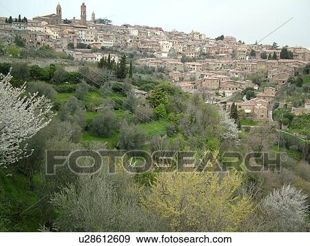 Tuscany, Toscana, Montalcino, Italy, Europe, View of the medieval hilltown of Montalcino in Tuscany in the spring. View Large Photo Image Stock Photo - Tuscany, Toscana, Montalcino, Italy, Europe, View of the medieval hilltown of Montalcino in Tuscany in the spring.. Fotosearch