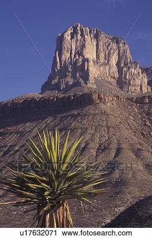 TX, Texas, Guadalupe Mountains National Park, El Captain View Large Photo Image Stock Image - TX, Texas, Guadalupe Mountains National Park, El Captain. Fotosearch