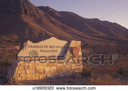 TX, Texas, Guadalupe Mountains National Park, entrance View Large Photo Image Stock Image - TX, Texas, Guadalupe Mountains National Park, entrance. Fotosearch