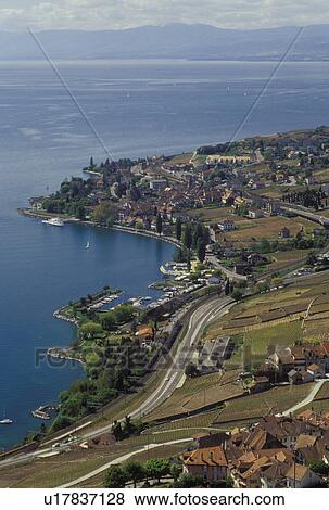 vineyard, Lavaux, Switzerland, Cully, Lake Geneva, Vaud, Europe, Scenic view of Cully village surrounded by vineyards along the lakeshore of Lac Leman in the spring in the Canton of Vaud. View Large Photo Image Stock Photo - vineyard, Lavaux, Switzerland, Cully, Lake Geneva, Vaud, Europe, Scenic view of Cully village surrounded by vineyards along the lakeshore of Lac Leman in the spring in the Canton of Vaud.. Fotosearch